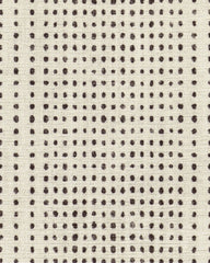Array Black & Ivory Flatwoven Rug