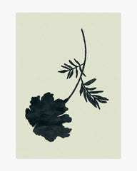 Temple Silhouette Ivory & Charcoal Rug by The Local Project