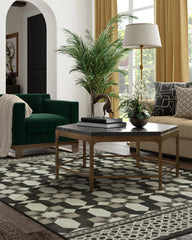 Emir Black & Ivory Flatwoven Rug by Martyn Lawrence Bullard