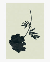 Temple Silhouette Ivory & Charcoal Rug by The Local Project